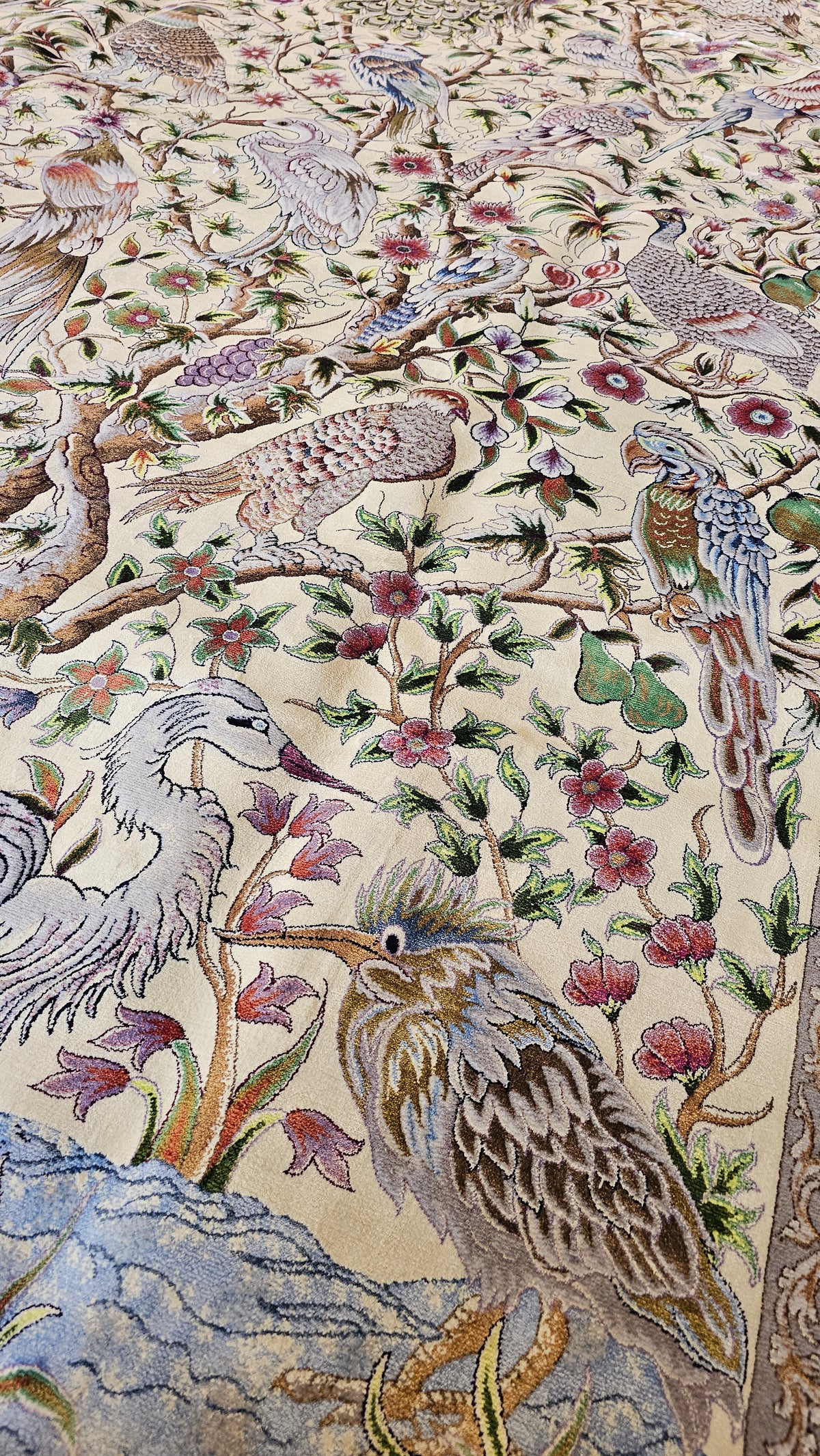 Persian Enchanted Aviary Hand-Bordered  Natural Wool & Silk Carpet 200x300 cm
