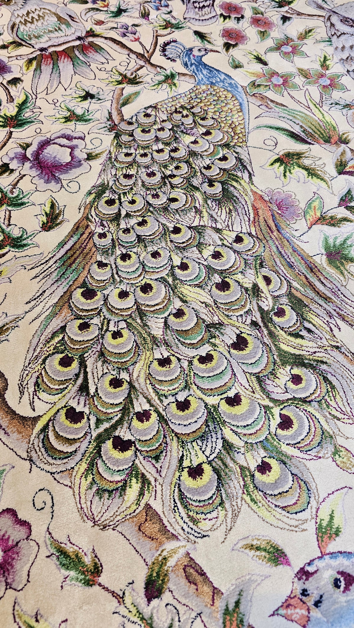 Persian Enchanted Aviary Hand-Bordered  Natural Wool & Silk Carpet 200x300 cm