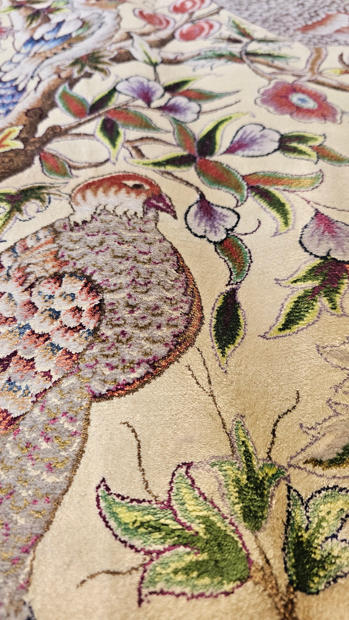 Persian Enchanted Aviary Hand-Bordered  Natural Wool & Silk Carpet 200x300 cm